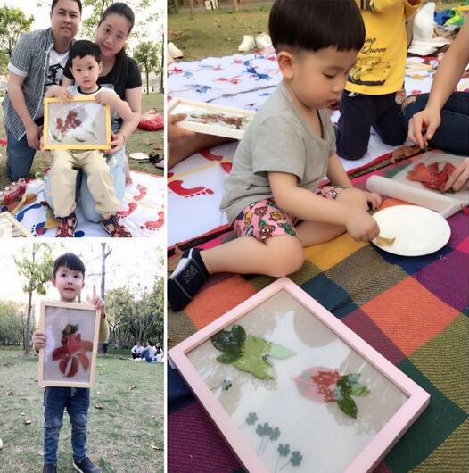 幼儿园早教报价 厂家